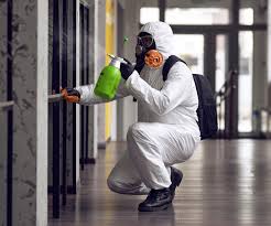 Best Airborne Mold Testing  in Paulsboro, NJ